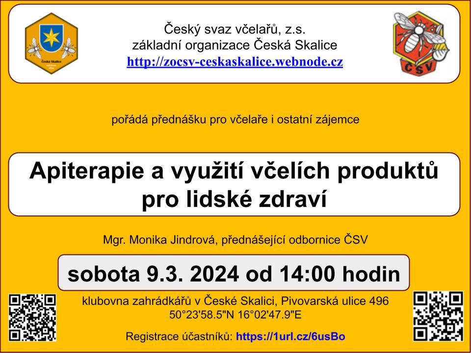 Přednáška apiterapie v České Skalici